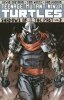 TEENAGE MUTANT NINJA TURTLES VOL 03 SHADOWS OF THE PAST TP [9781613774052]